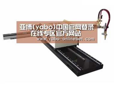 案例展示一