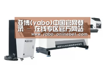 案例展示四