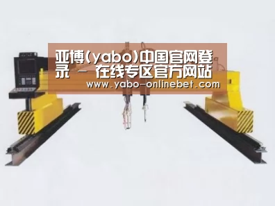 产品名称十七